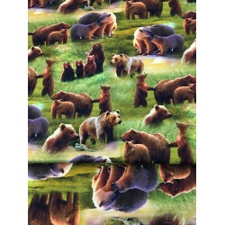 Digital printed viscoze lycra 4337 Digital printed viscoze lycra 4337